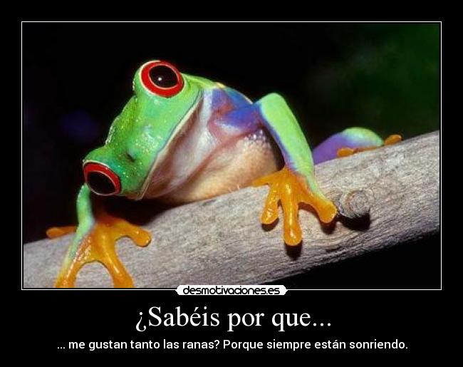 ¿Sabéis por que... - ... me gustan tanto las ranas? Porque siempre están sonriendo.