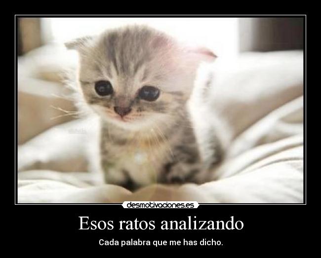 Esos ratos analizando - 