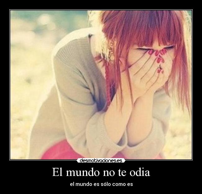 El mundo no te odia - 