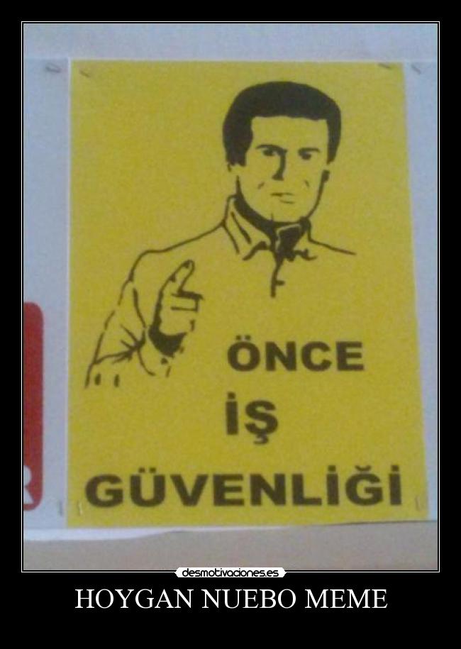 HOYGAN NUEBO MEME - 