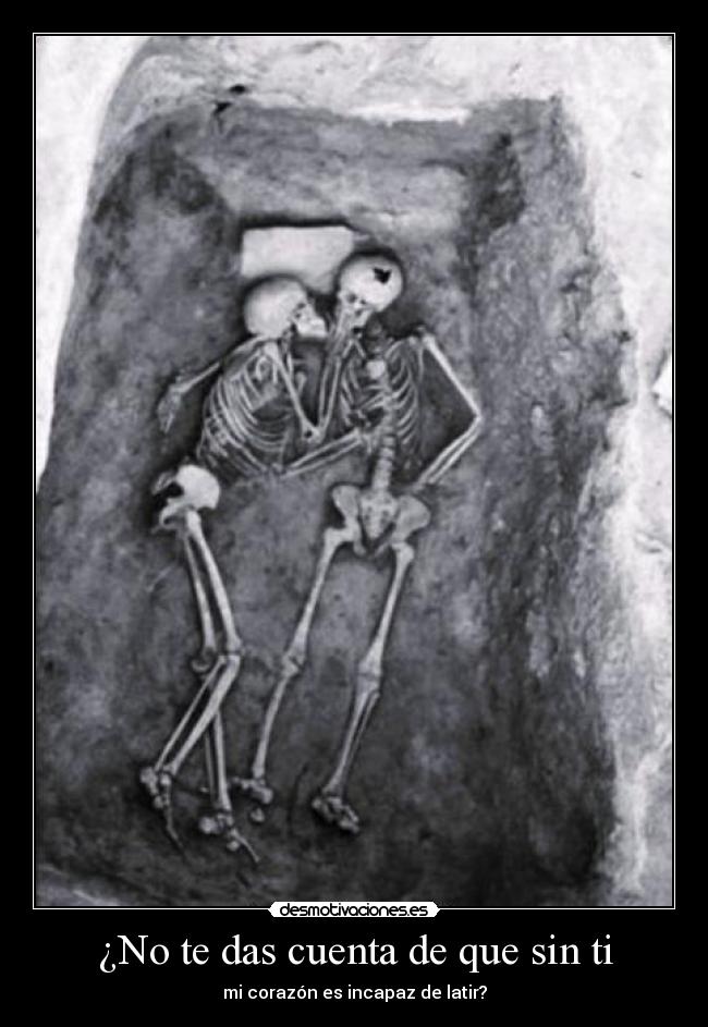 ¿No te das cuenta de que sin ti -