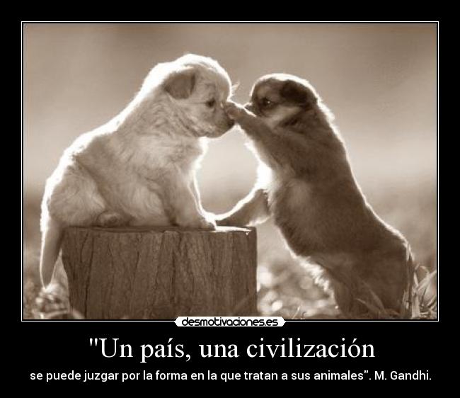 Un país, una civilización - se puede juzgar por la forma en la que tratan a sus animales. M. Gandhi.