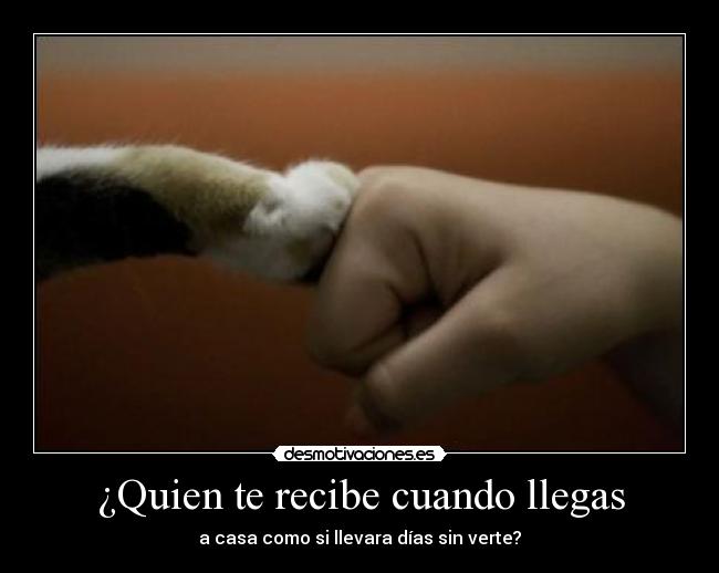 ¿Quien te recibe cuando llegas - 