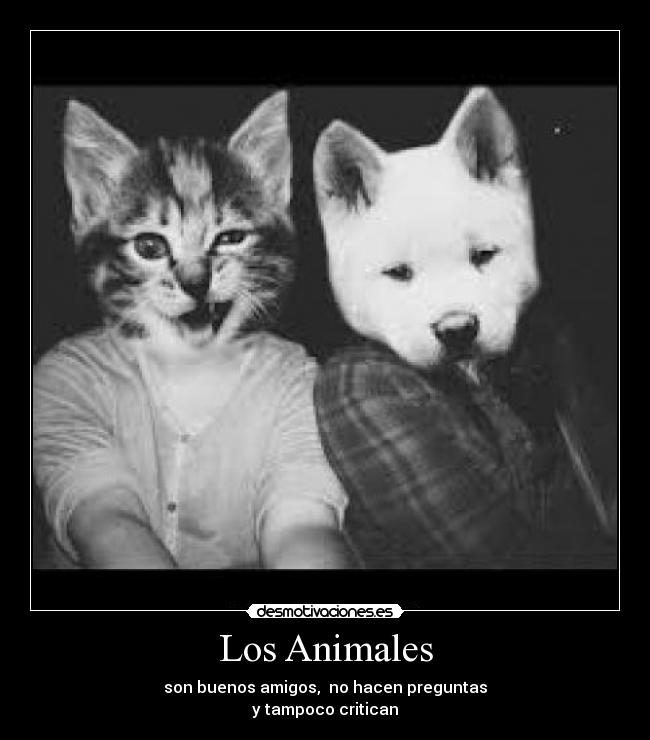 Los Animales -