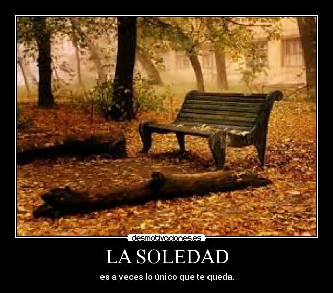 carteles soledad jeffwr kioma doralaexportadroga lool desmotivaciones