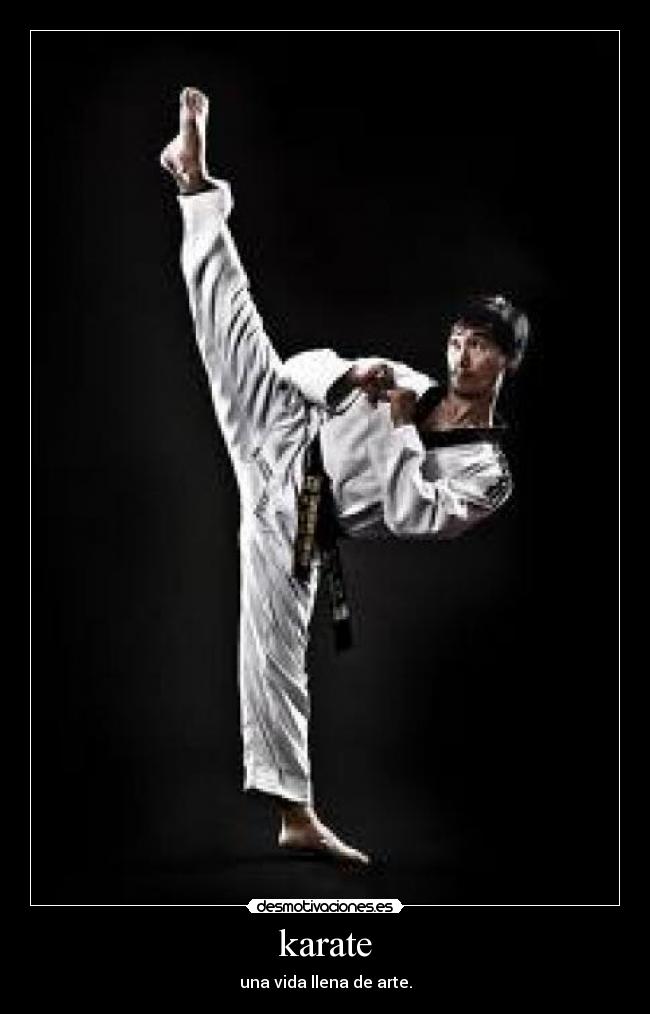 carteles karate desmotivaciones