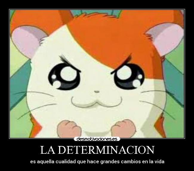 LA DETERMINACION - es aquella cualidad que hace grandes cambios en la vida