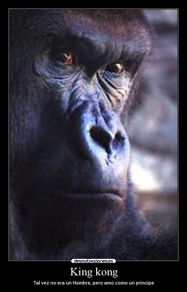 King kong - 