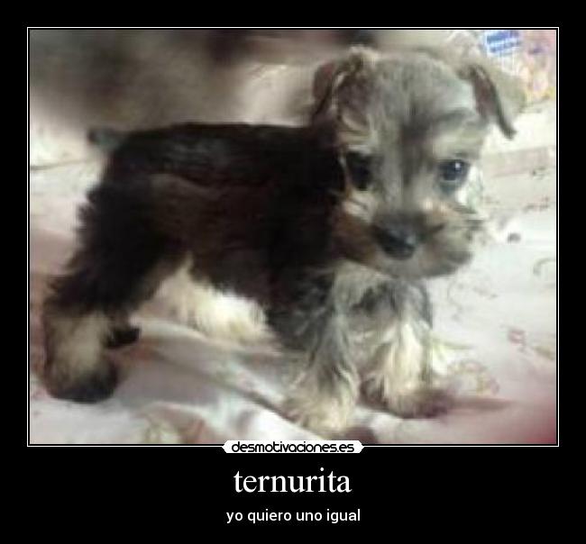 carteles compras desmotivaciones