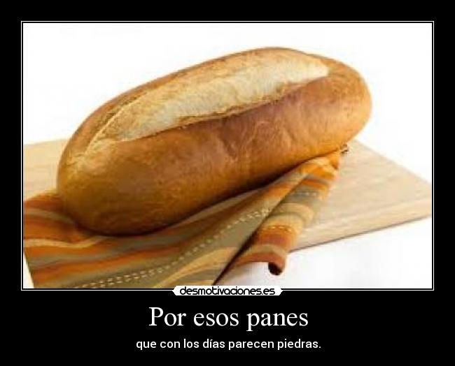 Por esos panes - que con los días parecen piedras.