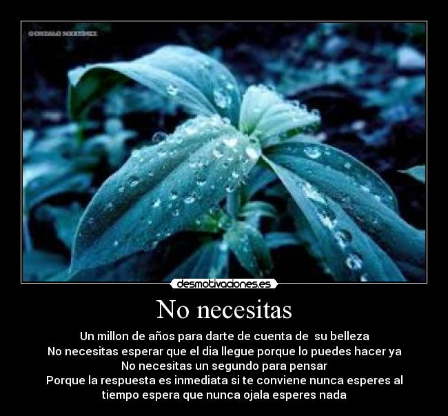 No necesitas - Un millon de años para darte de cuenta de su belleza
No necesitas esperar que el dia llegue porque lo puedes hacer ya
No necesitas un segundo para pensar
Porque la respuesta es inmediata si te conviene nunca esperes al
tiempo espera que nunca ojala esperes nada