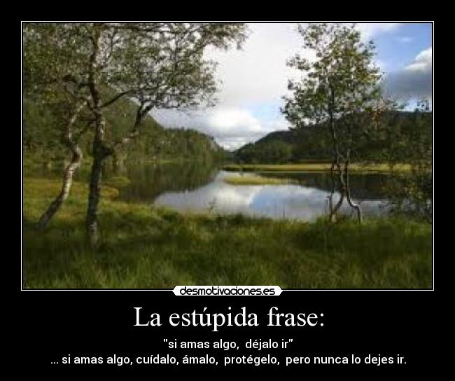 La estúpida frase: -