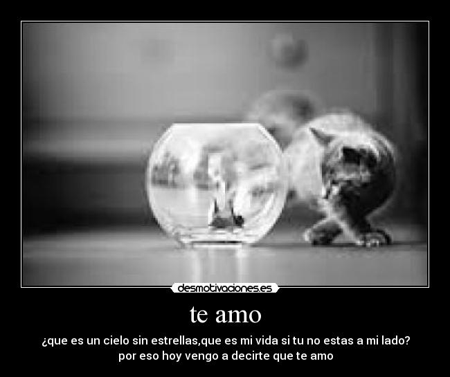 te amo -