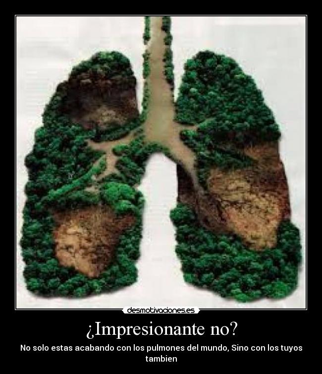 ¿Impresionante no? -