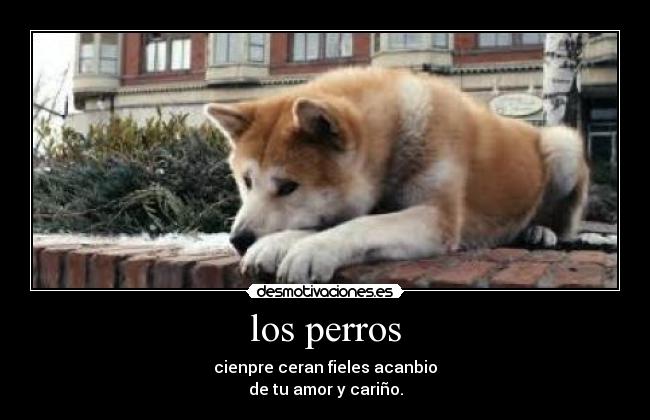 los perros - 