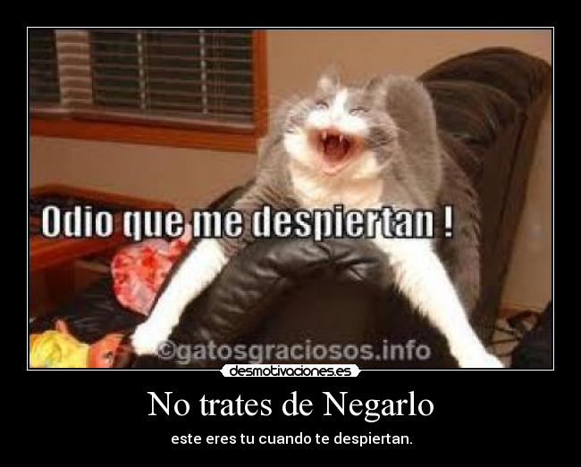 No trates de Negarlo -