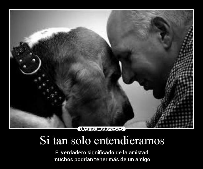 Si tan solo entendieramos - El verdadero significado de la amistad
muchos podrían tener más de un amigo