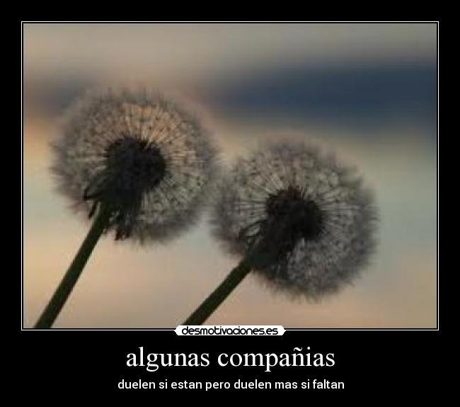 algunas compañias - duelen si estan pero duelen mas si faltan