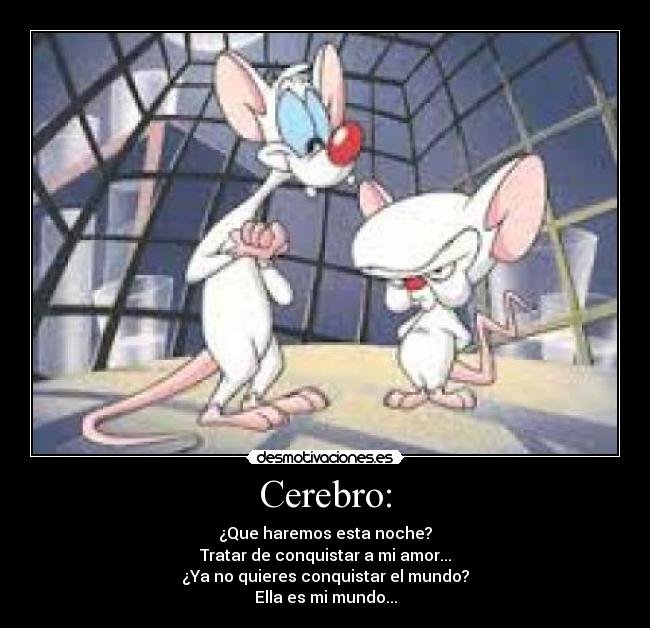 Cerebro: -