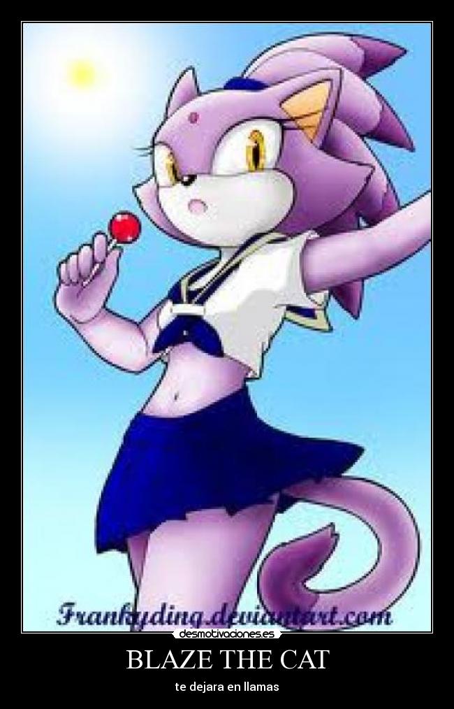 BLAZE THE CAT - 
