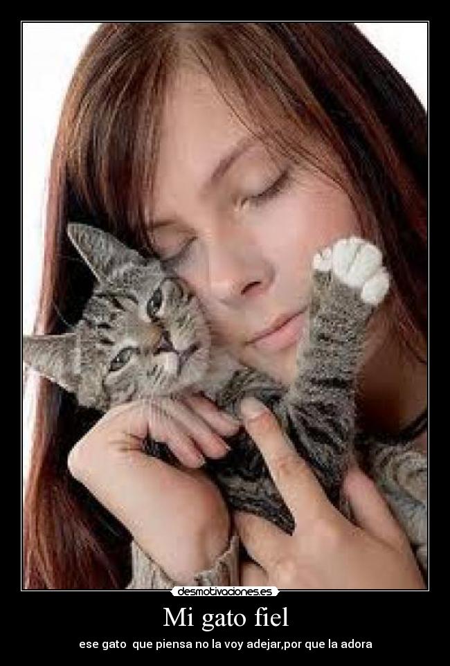 Mi gato fiel - 