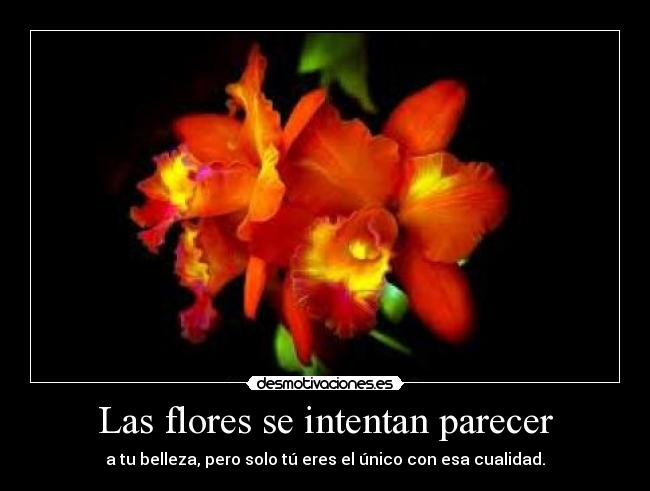 carteles para todo mundo desmotivaciones