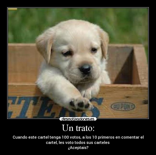 Un trato: - Cuando este cartel tenga 100 votos, a los 10 primeros en comentar el
cartel, les voto todos sus carteles
¿Aceptais?
