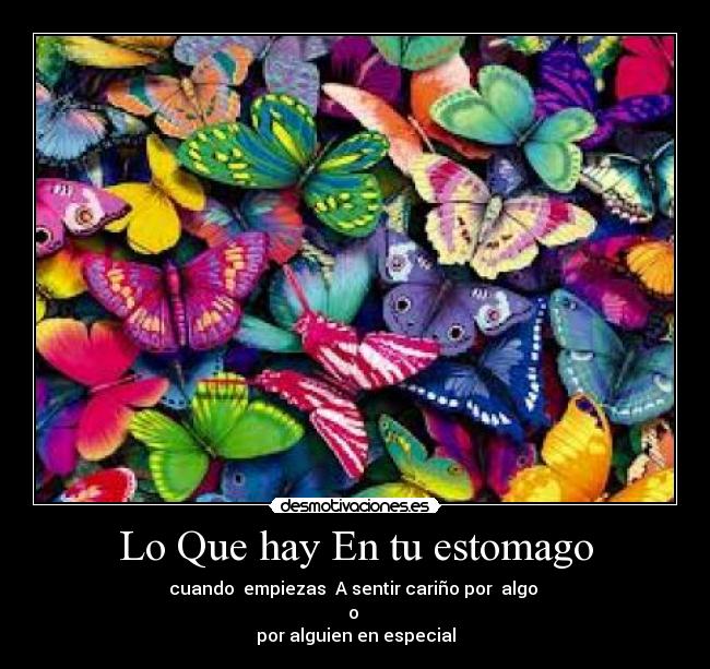 Lo Que hay En tu estomago - cuando empiezas A sentir cariño por algo
o
por alguien en especial