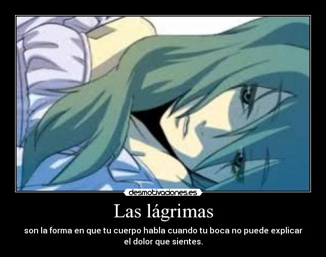 Las lágrimas - son la forma en que tu cuerpo habla cuando tu boca no puede explicar
el dolor que sientes.