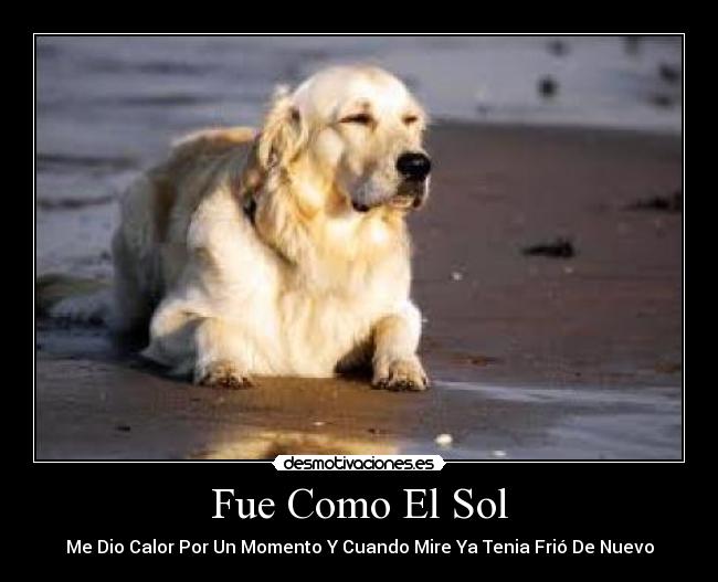 Fue Como El Sol - Me Dio Calor Por Un Momento Y Cuando Mire Ya Tenia Frió De Nuevo