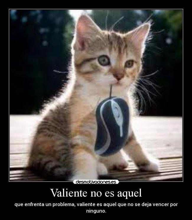 Valiente no es aquel - que enfrenta un problema, valiente es aquel que no se deja vencer por ninguno.
