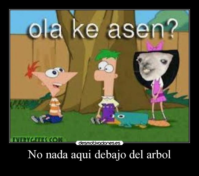 No nada aqui debajo del arbol -