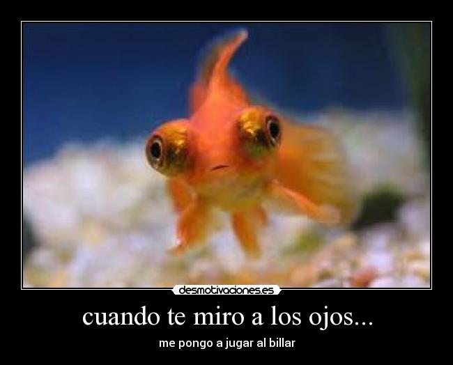 carteles gracioso desmotivaciones