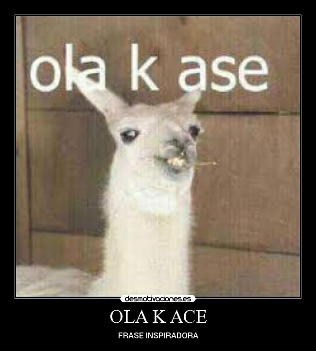 OLA K ACE - 