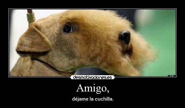 Amigo, - déjame la cuchilla.