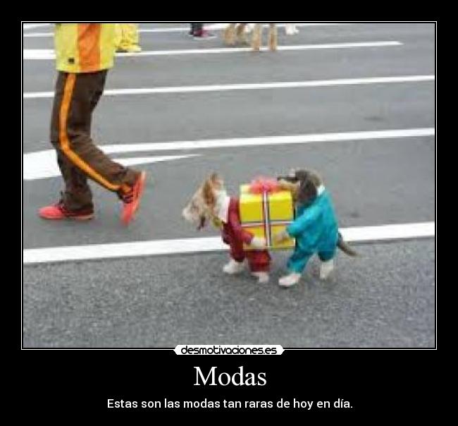 Modas - Estas son las modas tan raras de hoy en día.