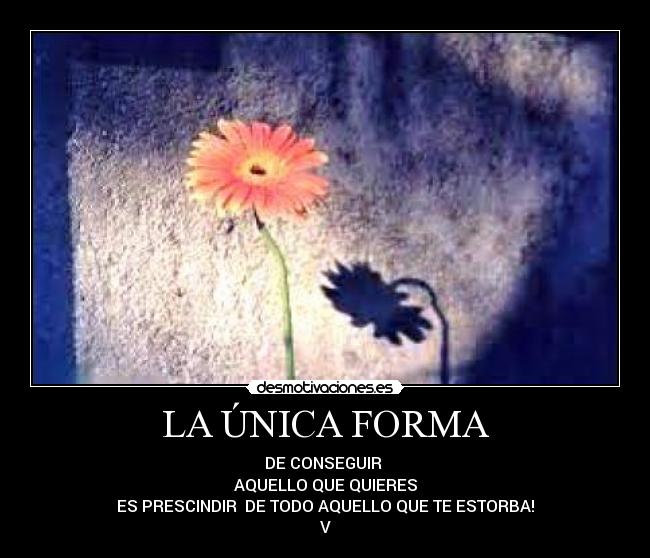 LA ÚNICA FORMA - DE CONSEGUIR
AQUELLO QUE QUIERES
ES PRESCINDIR DE TODO AQUELLO QUE TE ESTORBA!
V