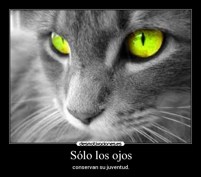 Sólo los ojos - conservan su juventud.