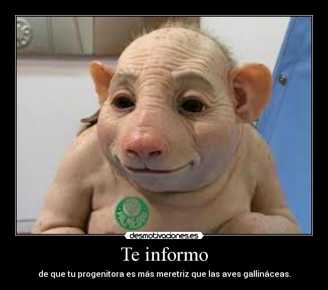 Te informo -