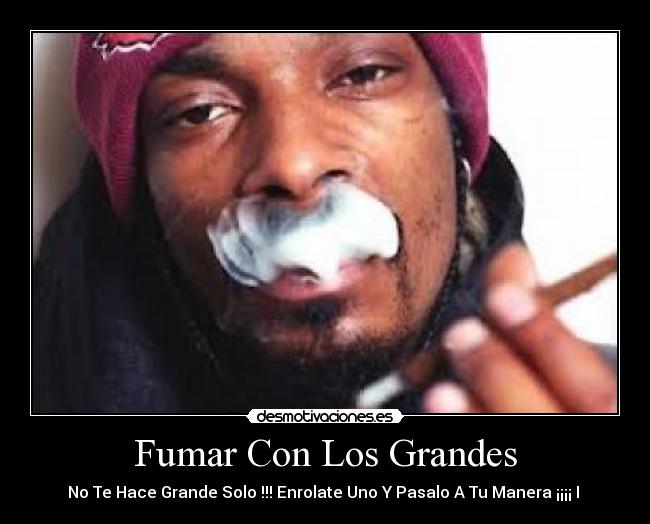 carteles viciocilla desmotivaciones