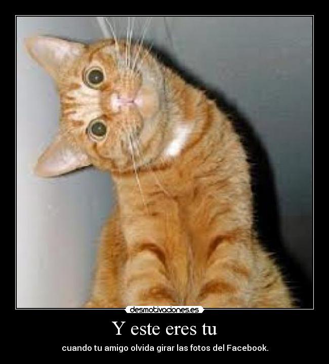 Y este eres tu - cuando tu amigo olvida girar las fotos del Facebook.
