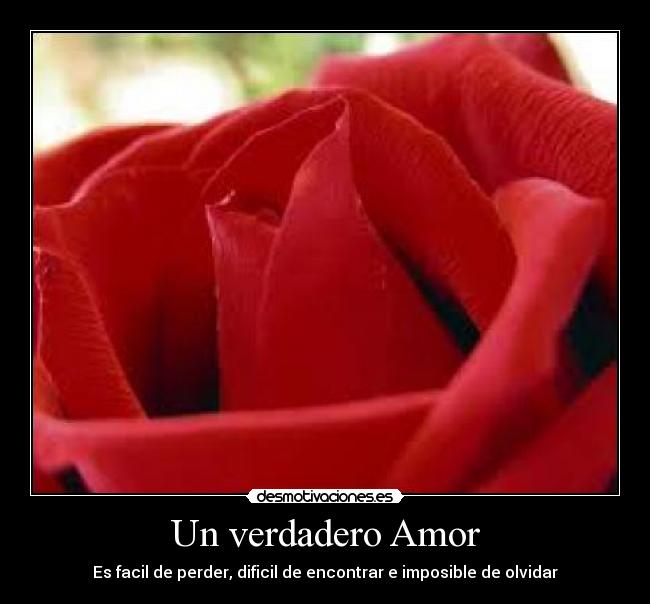 Un verdadero Amor - Es facil de perder, dificil de encontrar e imposible de olvidar