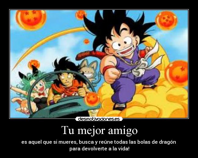 Tu mejor amigo - es aquel que si mueres, busca y reúne todas las bolas de dragón 
para devolverte a la vida!