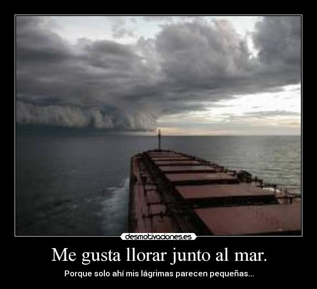 Me gusta llorar junto al mar. - Porque solo ahí mis lágrimas parecen pequeñas...