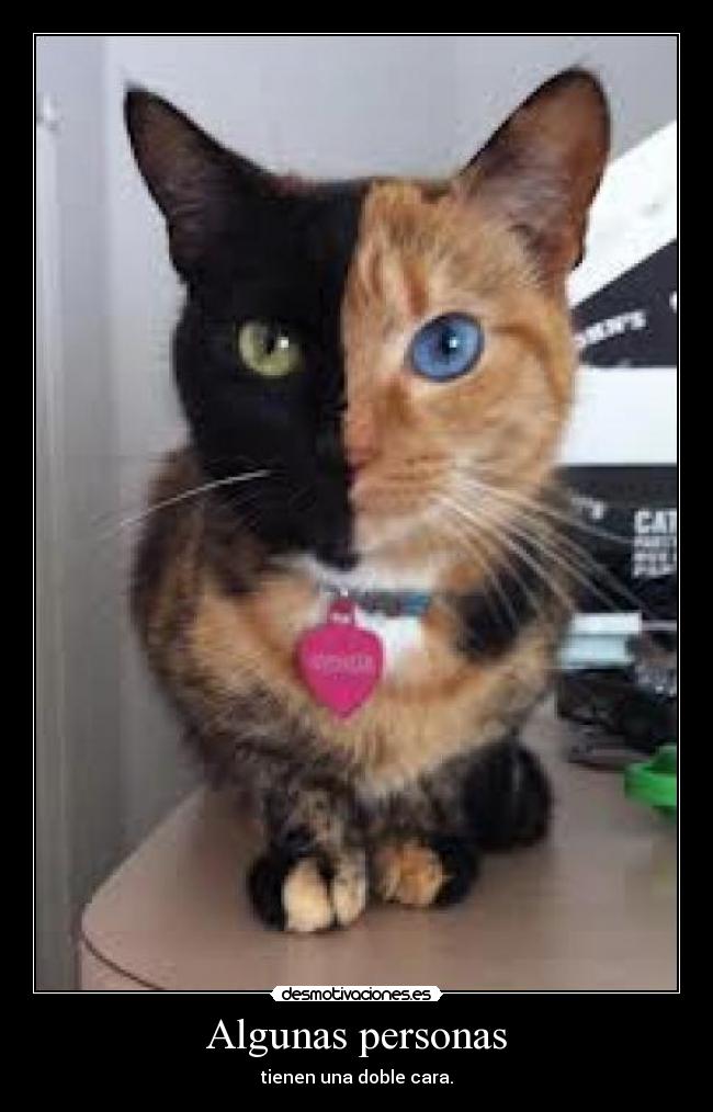 Algunas personas - tienen una doble cara.