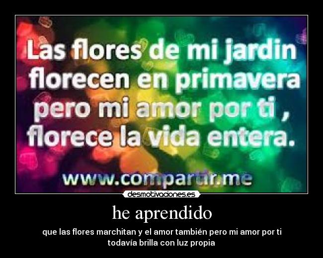 he aprendido -