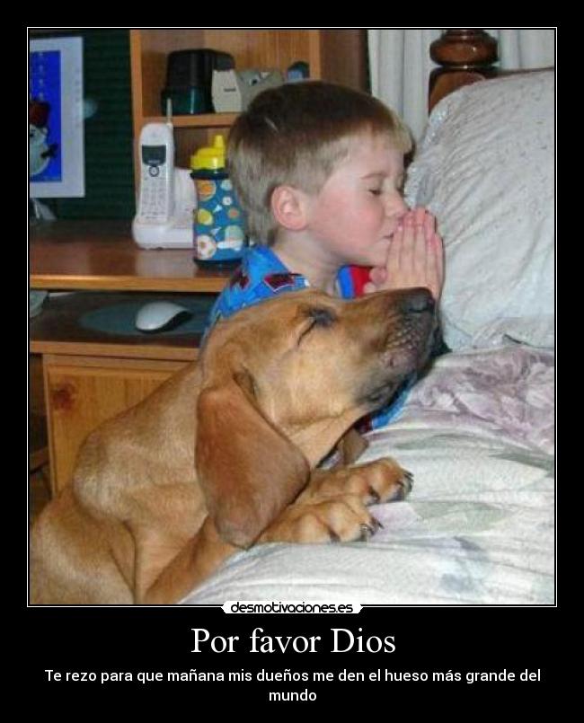 Por favor Dios - Te rezo para que mañana mis dueños me den el hueso más grande del mundo