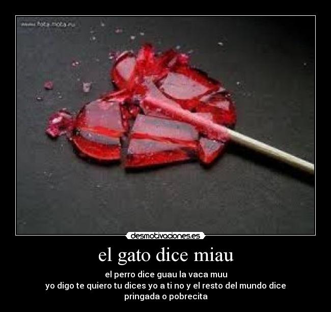 el gato dice miau - el perro dice guau la vaca muu
yo digo te quiero tu dices yo a ti no y el resto del mundo dice pringada o pobrecita