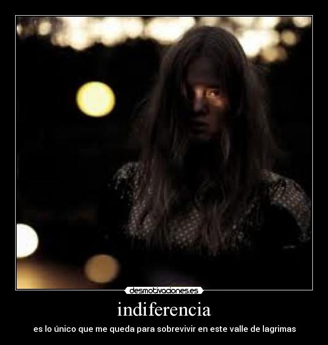 carteles orlando12345 desmotivaciones