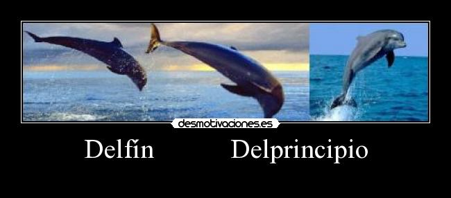 Delfín           Delprincipio - 